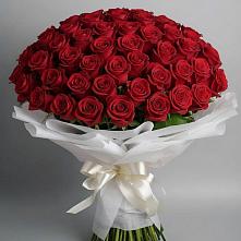 Букет 101 Красная роза Блэк Мэджик в Большевик