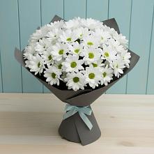 Букет цветов из:  Хризантемы в Большевик