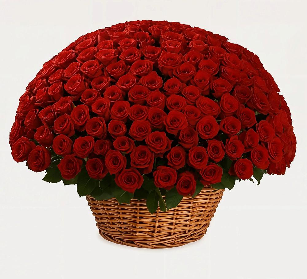 Премиум букет из: Розы в Большевик