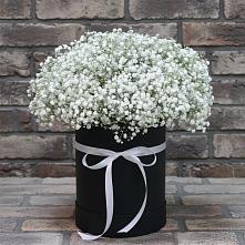 Цветочная композиция из Гипсофила в шляпной коробке #REPLACE_PRED# Большевик