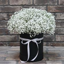Цветочная композиция из Гипсофила в шляпной коробке в Большевик